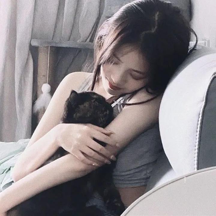小狗波图